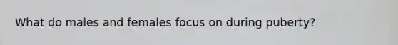 What do males and females focus on during puberty?