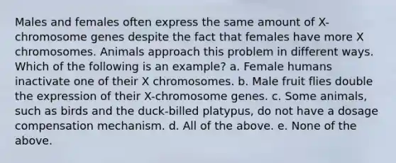 Males and females often express the same amount of X-chromosome genes despite the fact that females have more X chromosomes. Animals approach this problem in different ways. Which of the following is an example? a. Female humans inactivate one of their X chromosomes. b. Male fruit flies double the expression of their X-chromosome genes. c. Some animals, such as birds and the duck-billed platypus, do not have a dosage compensation mechanism. d. All of the above. e. None of the above.