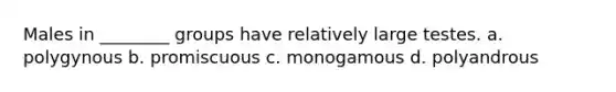 Males in ________ groups have relatively large testes. a. polygynous b. promiscuous c. monogamous d. polyandrous