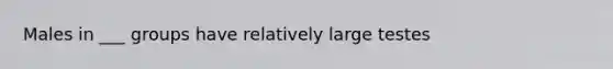 Males in ___ groups have relatively large testes