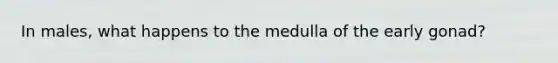 In males, what happens to the medulla of the early gonad?