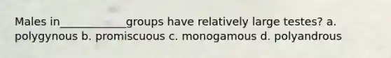 Males in____________groups have relatively large testes? a. polygynous b. promiscuous c. monogamous d. polyandrous