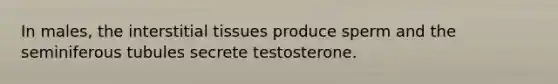 In males, the interstitial tissues produce sperm and the seminiferous tubules secrete testosterone.