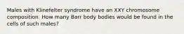 Males with Klinefelter syndrome have an XXY chromosome composition. How many Barr body bodies would be found in the cells of such males?