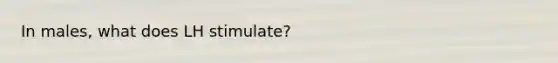 In males, what does LH stimulate?