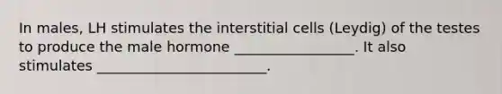 In males, LH stimulates the interstitial cells (Leydig) of the testes to produce the male hormone _________________. It also stimulates ________________________.