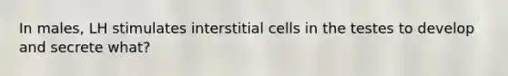 In males, LH stimulates interstitial cells in the testes to develop and secrete what?