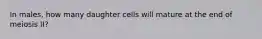 In males, how many daughter cells will mature at the end of meiosis II?