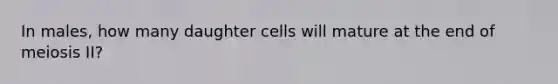 In males, how many daughter cells will mature at the end of meiosis II?