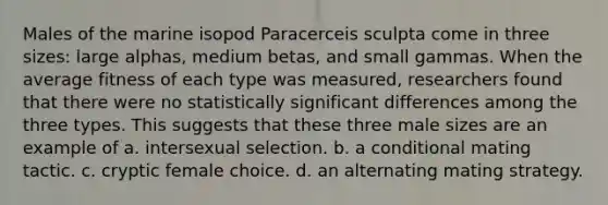 Males of the marine isopod Paracerceis sculpta come in three sizes: large alphas, medium betas, and small gammas. When the average fitness of each type was measured, researchers found that there were no statistically significant differences among the three types. This suggests that these three male sizes are an example of a. intersexual selection. b. a conditional mating tactic. c. cryptic female choice. d. an alternating mating strategy.