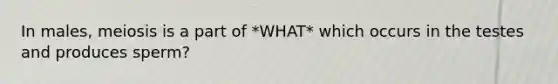 In males, meiosis is a part of *WHAT* which occurs in the testes and produces sperm?