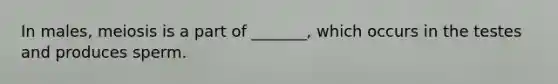 In males, meiosis is a part of _______, which occurs in the testes and produces sperm.