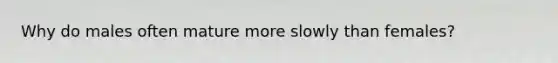 Why do males often mature more slowly than females?