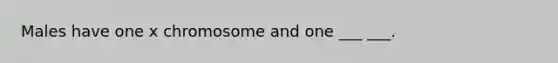 Males have one x chromosome and one ___ ___.