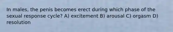 In males, the penis becomes erect during which phase of the sexual response cycle? A) excitement B) arousal C) orgasm D) resolution