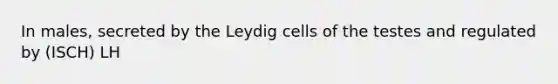 In males, secreted by the Leydig cells of the testes and regulated by (ISCH) LH