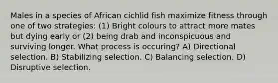 Males in a species of African cichlid fish maximize fitness through one of two strategies: (1) Bright colours to attract more mates but dying early or (2) being drab and inconspicuous and surviving longer. What process is occuring? A) Directional selection. B) Stabilizing selection. C) Balancing selection. D) Disruptive selection.