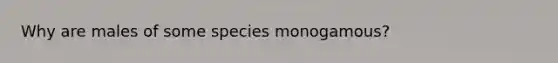 Why are males of some species monogamous?