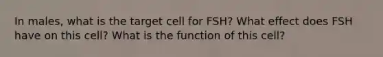 In males, what is the target cell for FSH? What effect does FSH have on this cell? What is the function of this cell?