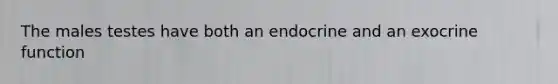 The males testes have both an endocrine and an exocrine function