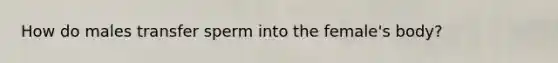 How do males transfer sperm into the female's body?