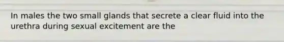 In males the two small glands that secrete a clear fluid into the urethra during sexual excitement are the