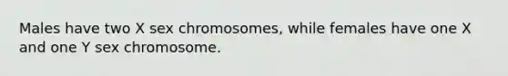 Males have two X sex chromosomes, while females have one X and one Y sex chromosome.