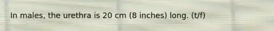 ​In males, the urethra is 20 cm (8 inches) long. (t/f)