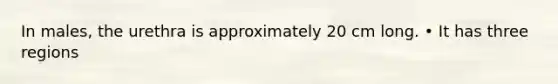 In males, the urethra is approximately 20 cm long. • It has three regions