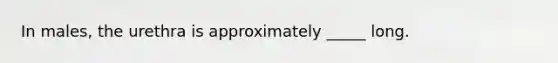 In males, the urethra is approximately _____ long.