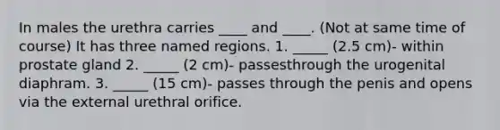 In males the urethra carries ____ and ____. (Not at same time of course) It has three named regions. 1. _____ (2.5 cm)- within prostate gland 2. _____ (2 cm)- passesthrough the urogenital diaphram. 3. _____ (15 cm)- passes through the penis and opens via the external urethral orifice.