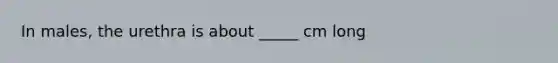 In males, the urethra is about _____ cm long