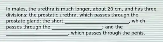 In males, the urethra is much longer, about 20 cm, and has three divisions: the prostatic urethra, which passes through the prostate gland; the short ____________________________, which passes through the ______________________; and the ___________________________, which passes through the penis.