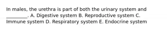 In males, the urethra is part of both the urinary system and _________. A. Digestive system B. Reproductive system C. Immune system D. Respiratory system E. Endocrine system