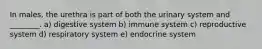 In males, the urethra is part of both the urinary system and ________. a) digestive system b) immune system c) reproductive system d) respiratory system e) endocrine system