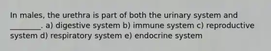 In males, the urethra is part of both the urinary system and ________. a) digestive system b) immune system c) reproductive system d) respiratory system e) endocrine system