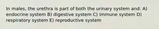 In males, the urethra is part of both the urinary system and: A) <a href='https://www.questionai.com/knowledge/k97r8ZsIZg-endocrine-system' class='anchor-knowledge'>endocrine system</a> B) digestive system C) immune system D) respiratory system E) reproductive system