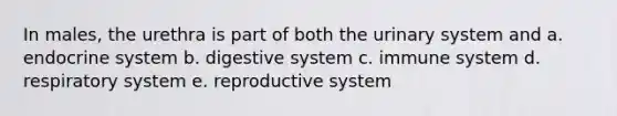 In males, the urethra is part of both the urinary system and a. endocrine system b. digestive system c. immune system d. respiratory system e. reproductive system