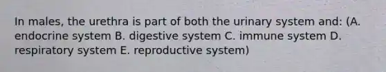 In males, the urethra is part of both the urinary system and: (A. endocrine system B. digestive system C. immune system D. respiratory system E. reproductive system)