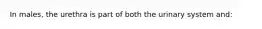 In males, the urethra is part of both the urinary system and: