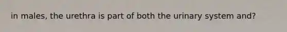 in males, the urethra is part of both the urinary system and?