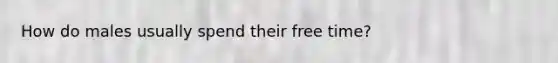 How do males usually spend their free time?