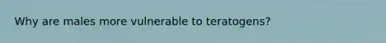 Why are males more vulnerable to teratogens?