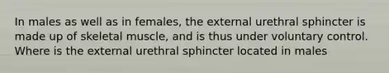 In males as well as in females, the external urethral sphincter is made up of skeletal muscle, and is thus under voluntary control. Where is the external urethral sphincter located in males