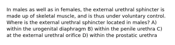 In males as well as in females, the external urethral sphincter is made up of skeletal muscle, and is thus under voluntary control. Where is the external urethral sphincter located in males? A) within the urogenital diaphragm B) within the penile urethra C) at the external urethral orifice D) within the prostatic urethra