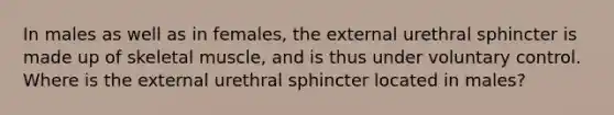 In males as well as in females, the external urethral sphincter is made up of skeletal muscle, and is thus under voluntary control. Where is the external urethral sphincter located in males?