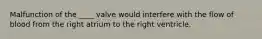Malfunction of the ____ valve would interfere with the flow of blood from the right atrium to the right ventricle.