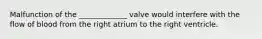 Malfunction of the _____________ valve would interfere with the flow of blood from the right atrium to the right ventricle.