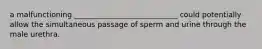 a malfunctioning ____________________________ could potentially allow the simultaneous passage of sperm and urine through the male urethra.