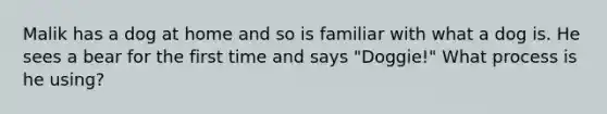 Malik has a dog at home and so is familiar with what a dog is. He sees a bear for the first time and says "Doggie!" What process is he using?